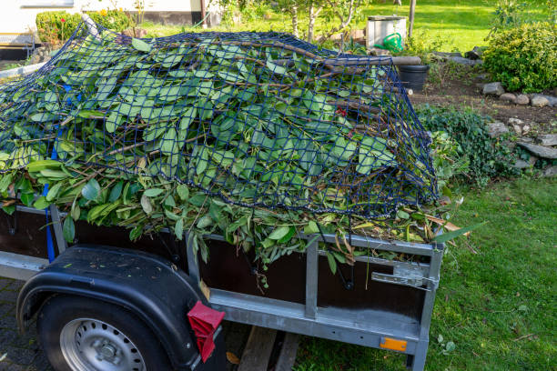 Best Shed Removal  in Checotah, OK